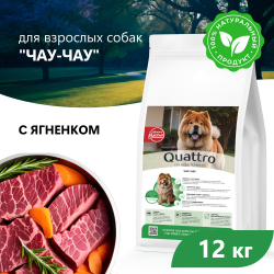 Корм сухой для взрослых собак породы Чау-чау, с ягненком, 12 кг, QUATTRO