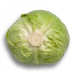 АДЕМА РЗ F1 семена капусты белокочанной (Rijk Zwaan | Alexagro)