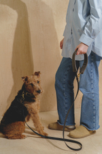 Поводок "Пони-маскарпони" серый