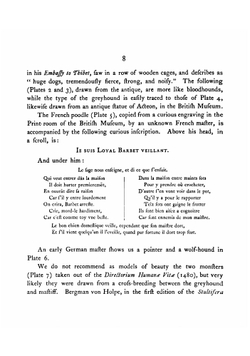 The varieties of dogs, as they are found in old sculptures, pictures, engravings, and books | Philbert Charles Berjeau