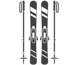 Горные лыжи