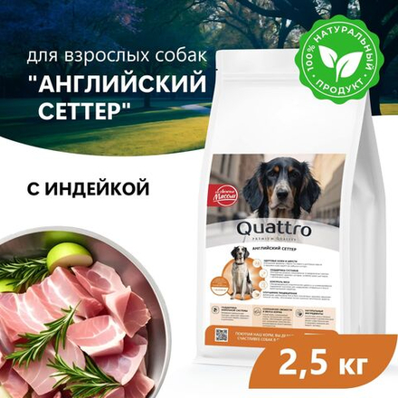 Корм сухой для взрослых собак породы Английский сеттер, премиум полнорационный комплекс, с индейкой, 2,5 кг, QUATTRO