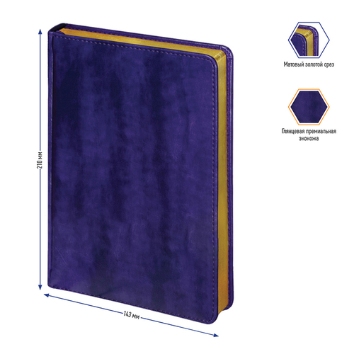 Ежедневник недатированный, А5, 160л., кожзам, Berlingo "xGold", зол. срез, фиолетовый