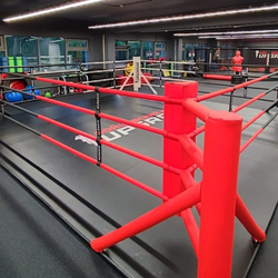 Ринг боксерский в раме TARGEX