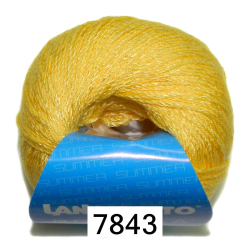 7843