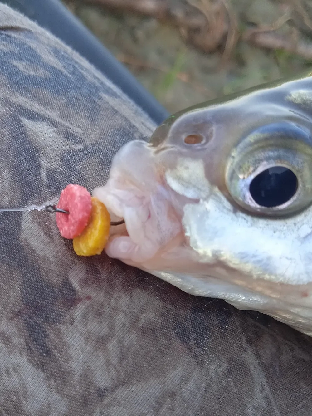 Наживка "Пылящие колечки"