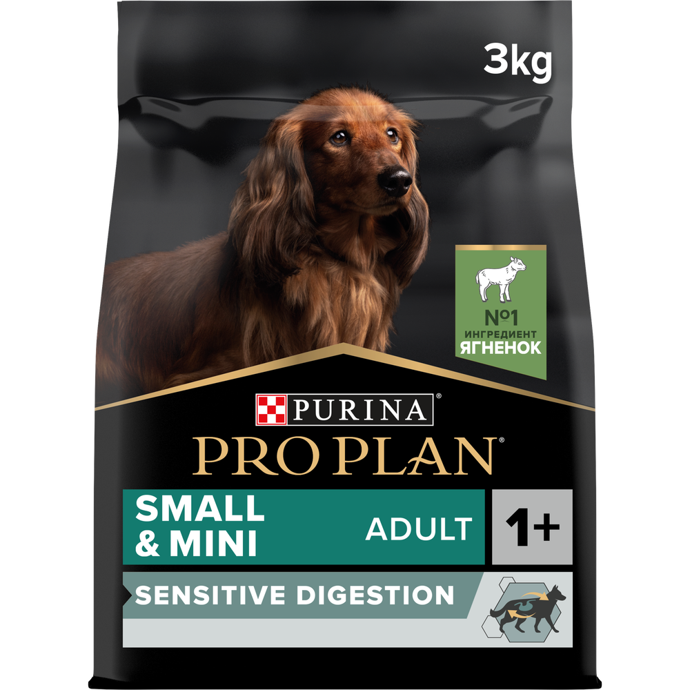 Pro Plan
