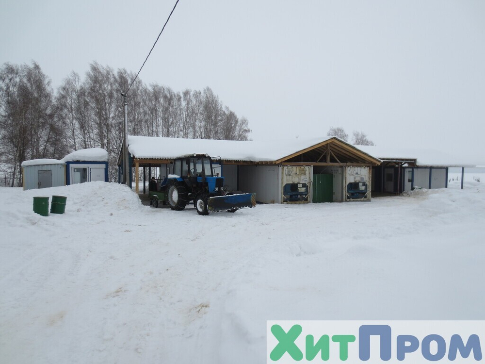 Комплекс убоя и переработки кроликов до 150 голов/час. Детское питание. Тульская область.