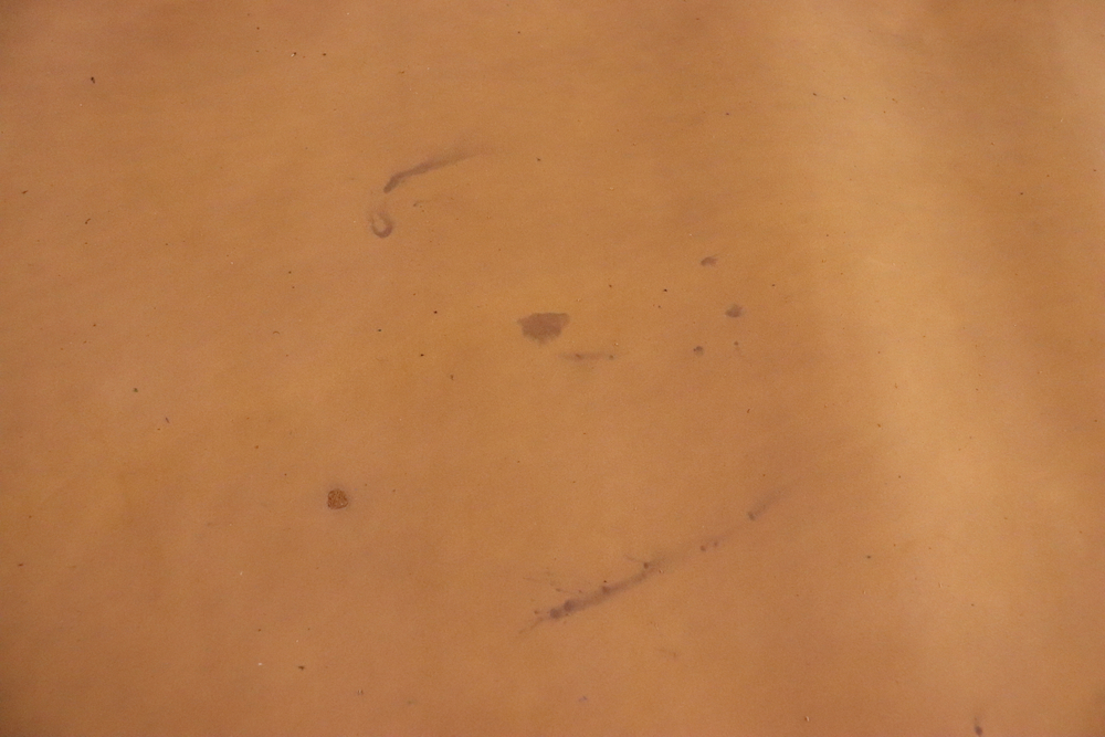 Уценка: 1,2-1,4 Кожа Крейзи Хорс Пегас Песчаный К/К 226 дм²