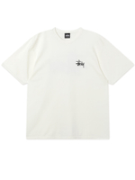 Мужская Футболка Basic Stussy Pig. Dyed