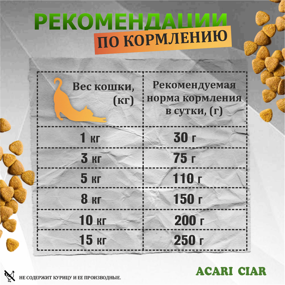 Acari Ciar А КЭТ Мейн-кун Индейка