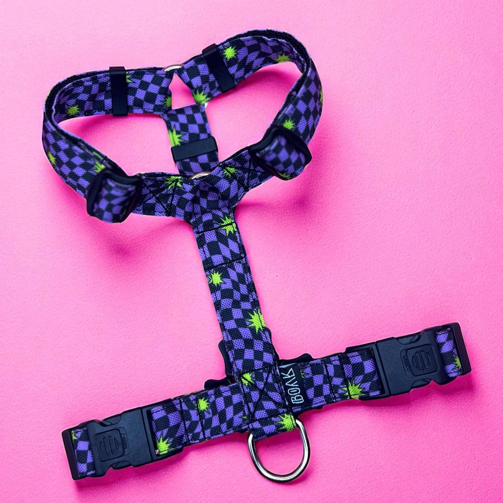 Шлейка Lav Flash+Neon Riot