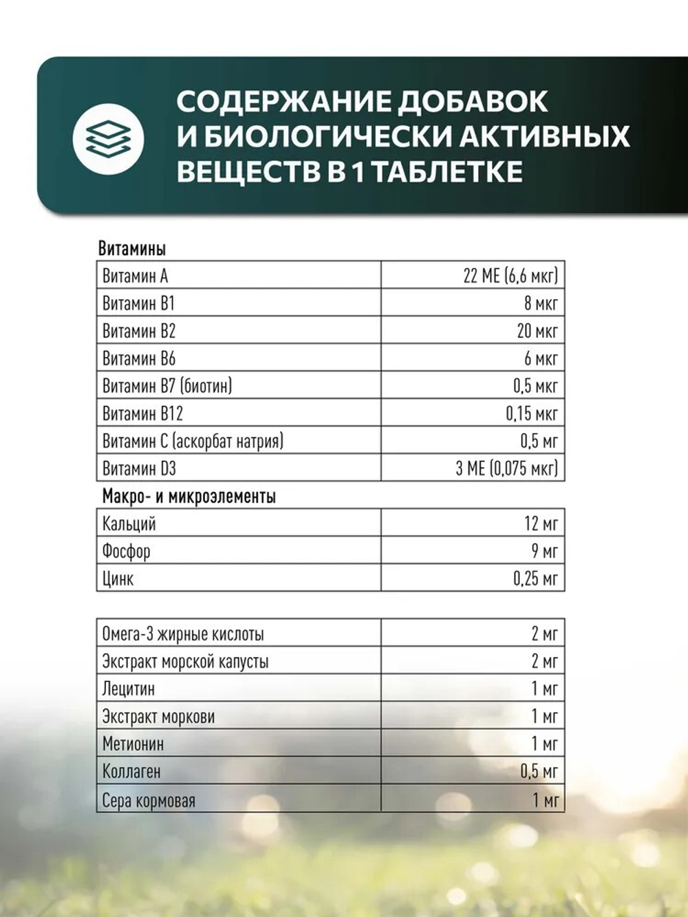 Vita+ Мультивитаминное лакомство для собак "Здоровая кожа и красивая шерсть", 45 г