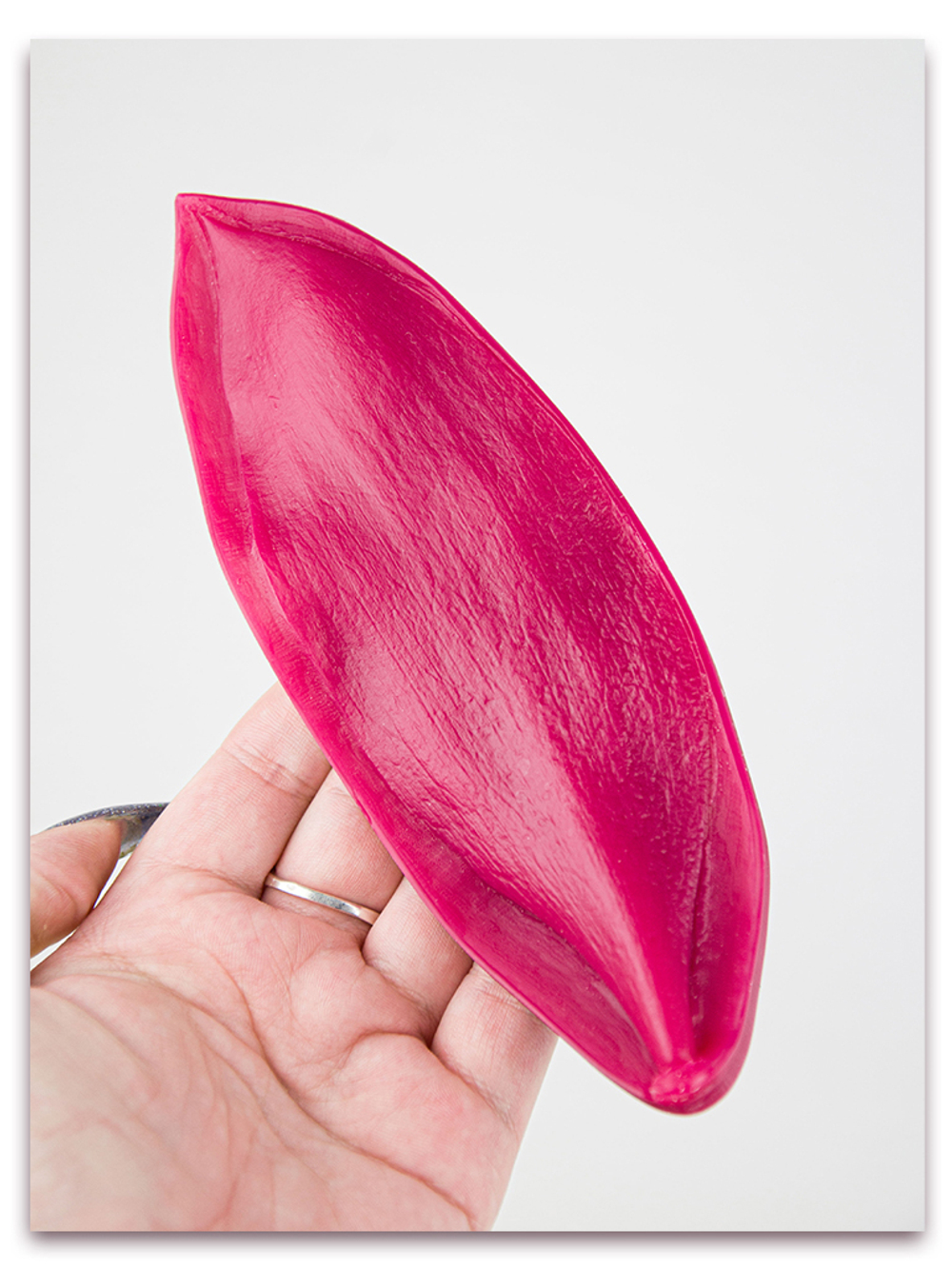 Лист тюльпана. Набор 2