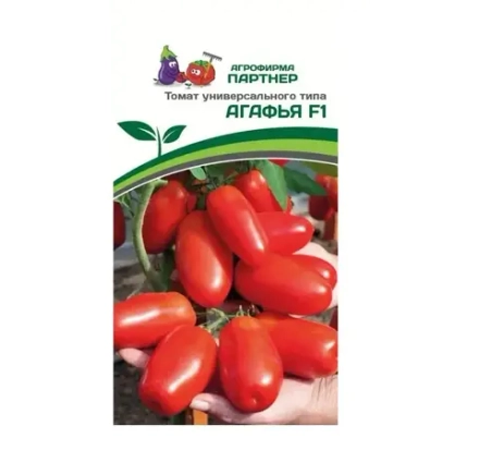 Томат Агафья