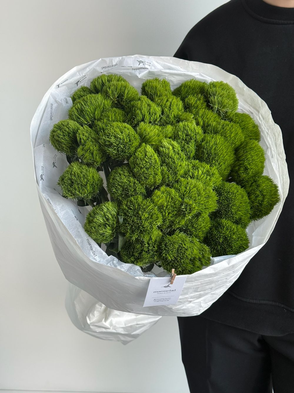 Моно букет из диантусов сорта Грин трик 35 шт