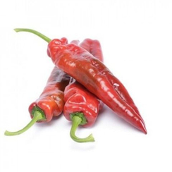 Палермо F1 семена перца сладкого (Rijk Zwaan / Райк Цваан)