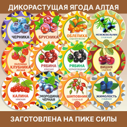 Орех кедровый Алтай.