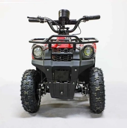 Электроквадроцикл Green Camel Гоби K45 (36V 800W R6 Цепь) быстросъем, ножной тормоз