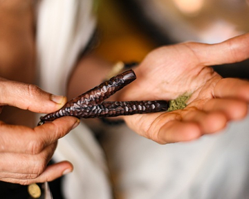 Тепи и Курипи