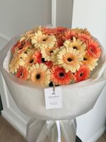 Букет из 25 минигербер кремовых оттенков