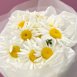 Букет "Ромашка одноголовая" #77