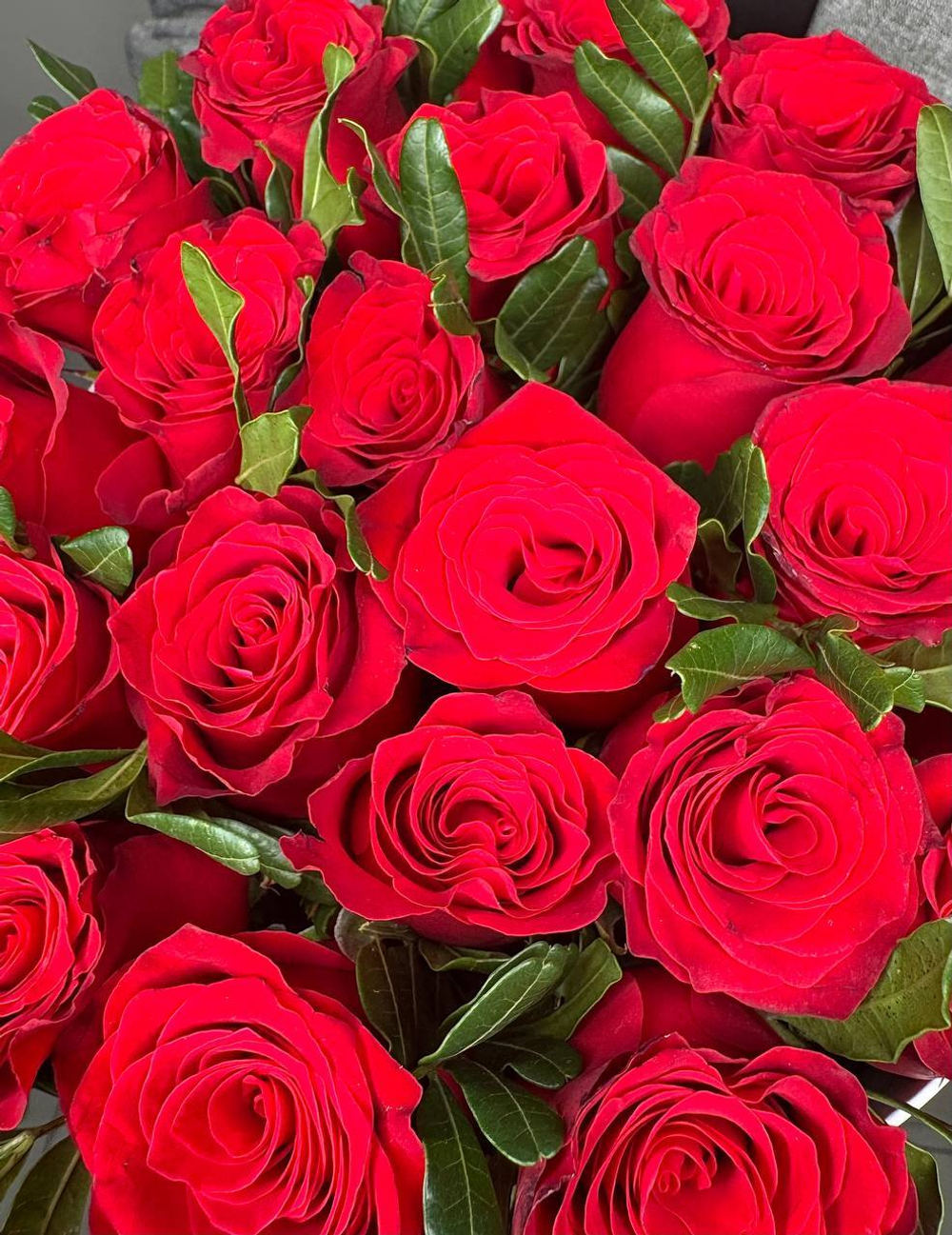 Подарочный набор 21 роза Кения 40 см коробочке