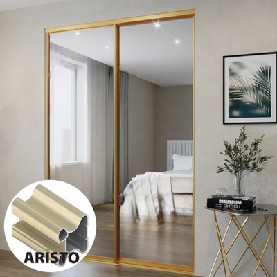 Дверь-купе ARISTO Н, зеркало, профиль золото матовое