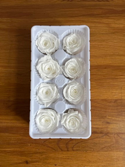 Роза классическая выбеленная d=4-5 см