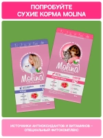 Функциональное крем-лакомство MOLINA с уткой и индейкой для кошек для Здоровья мочевыводящей системы 4х12г