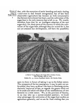 Nitrate of soda for profit with sugar-beets | Myers William S.