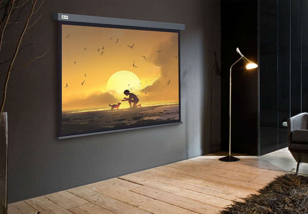 Экран  Cactus CS-PSW-124X221-SG