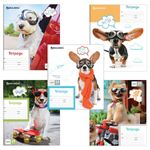 Тетрадь 24 л. BRAUBERG, клетка, обложка картон, MY BEST FRIEND, 403007, 5шт