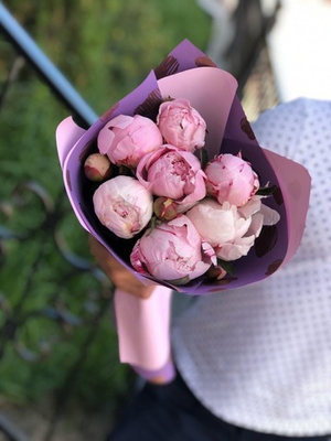 Букет из 7 пионов