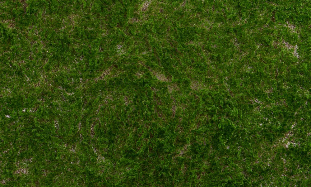 Коврик мха Листостебельный 1*1м 100-1