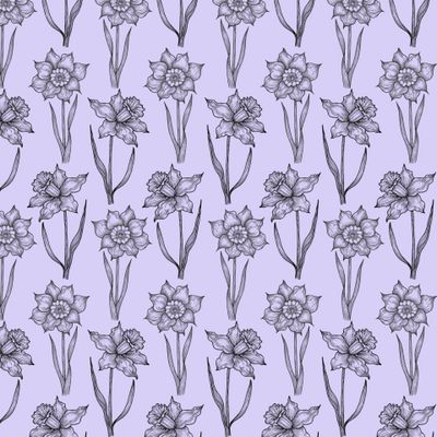 Нарцисс графика