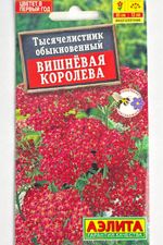 Тысячелистник Вишневая королева СМЦ-945