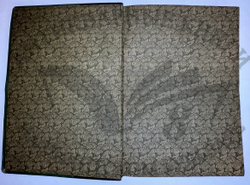 История XIX века. Западная Европа и внеевропейские государства. Под ред. Лависса и Рамбо; 1905-1907