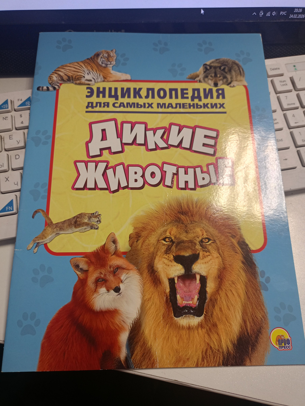 Энциклопедия для самых маленьких. Дикие животные