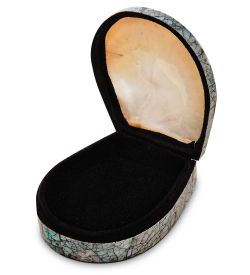 Decor and Gift 54-037 Декоративная шкатулка «Ракушка»