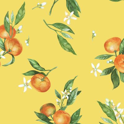 акварельные мандарины на желтом