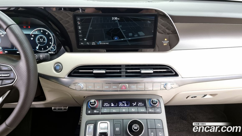 Hyundai Palisade Бензин 3.8 2WD (10.2021)