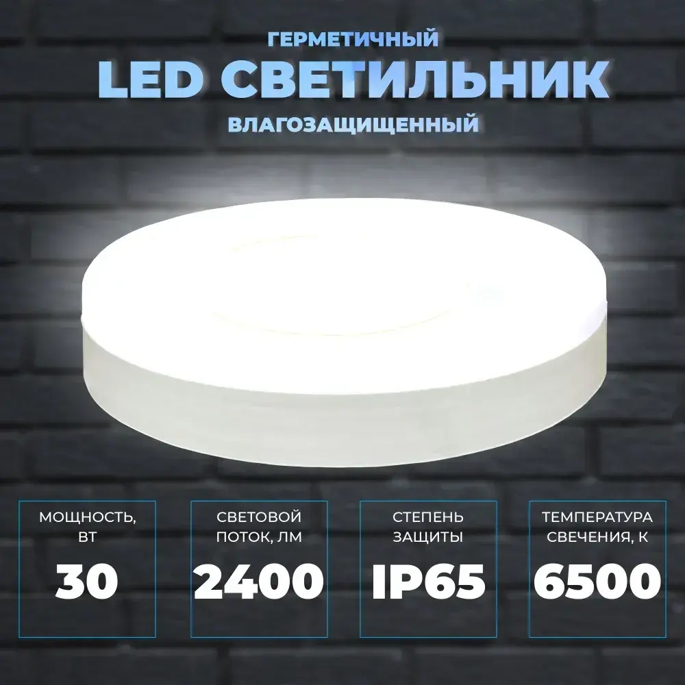 Светильник герметичный настенно-потолочный. Сверхяркий КРУГ 30Вт, со степенью защиты IP65. Размер 220х50. Холодный белый свет 6500К
