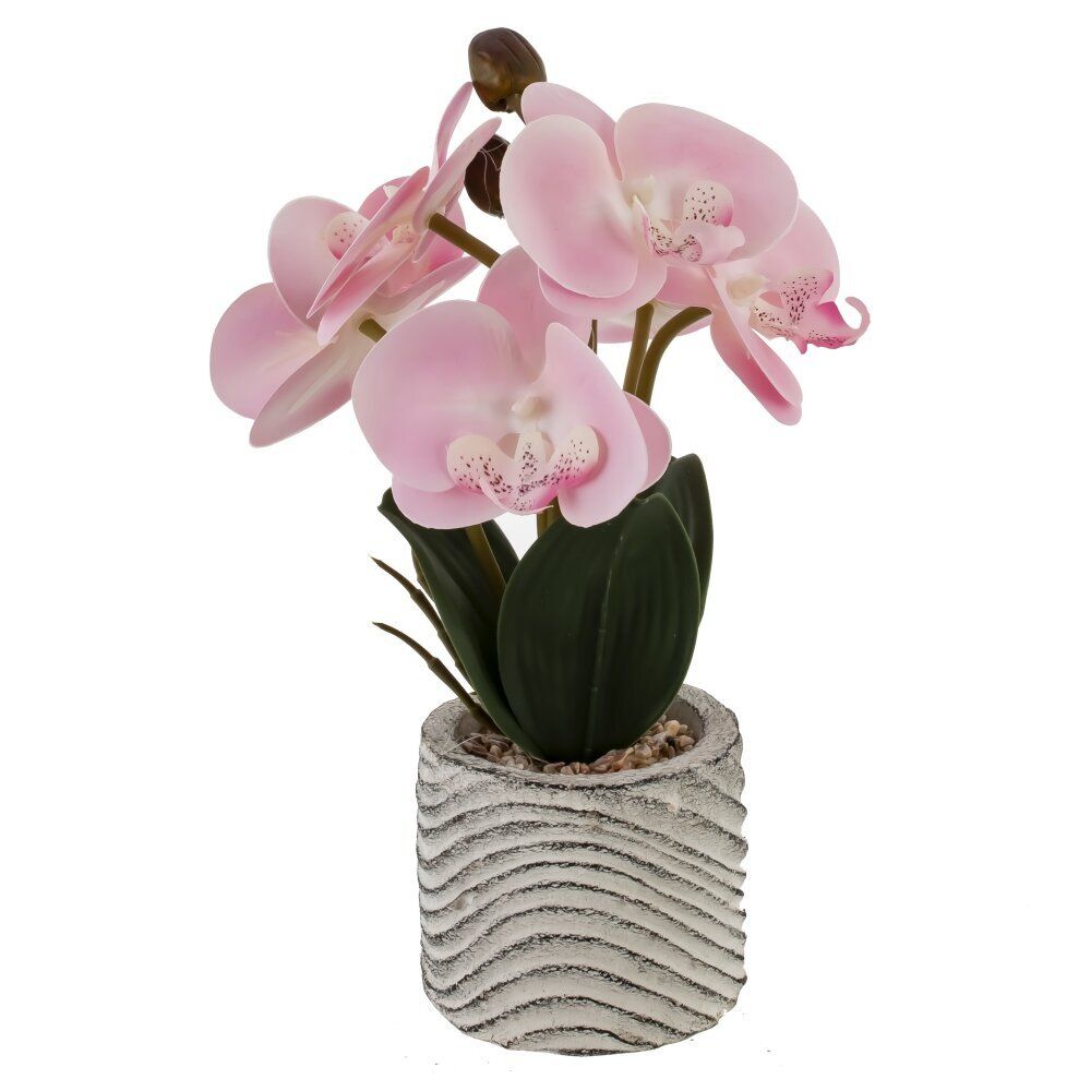 GAEM Цветочная композиция "Орхидея", L14 W12 H29 см