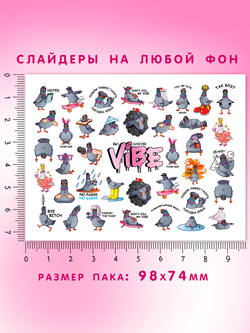 Голуби 061