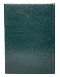 IMG_8841-PhotoRoom.png-PhotoRoom