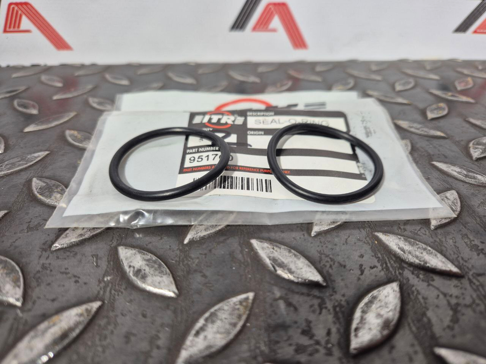 О-кольцо 095-1700