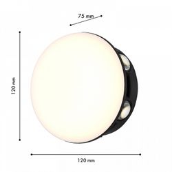 Накладной светильник Favourite Option 4853-1W