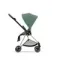 Детская коляска Cybex Mios 2 в 1 Leaf Green Rosegold