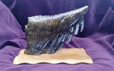 Зуб мамонта